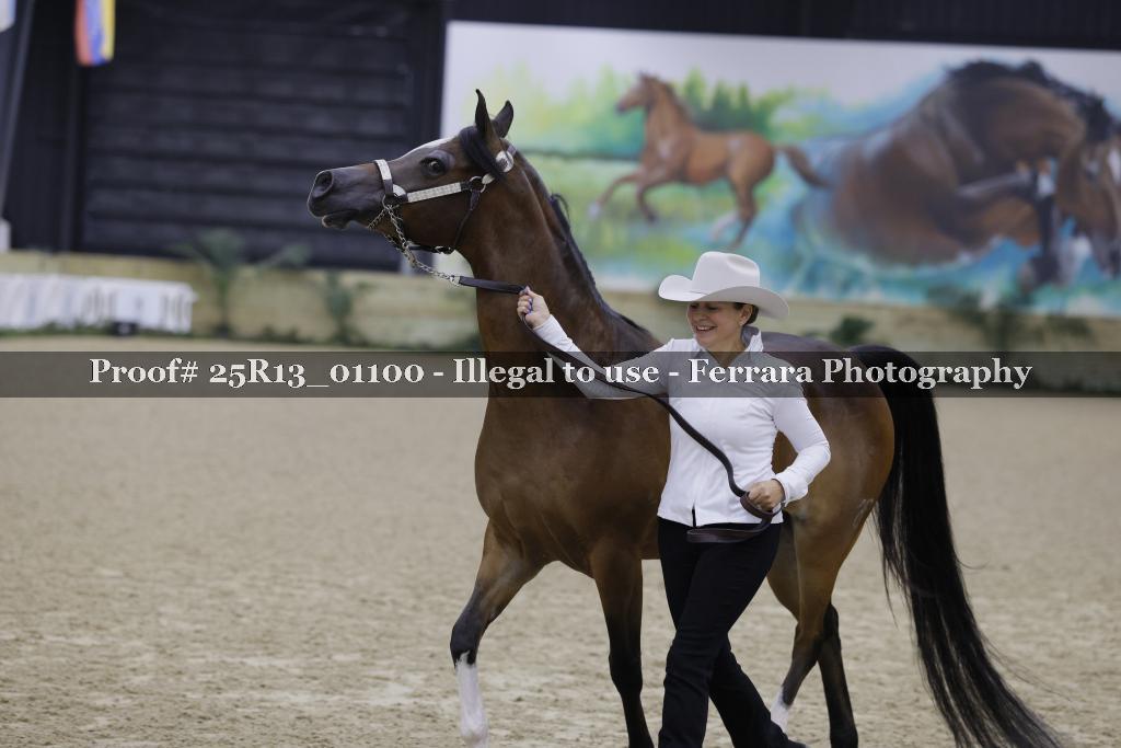 Proof 25R13_01100
