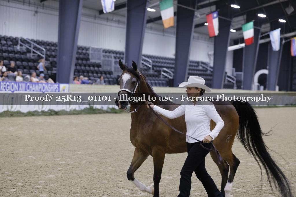 Proof 25R13_01101