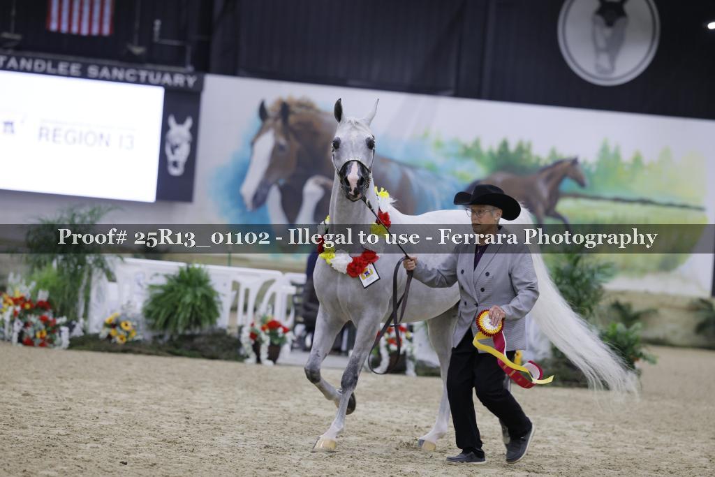 Proof 25R13_01102