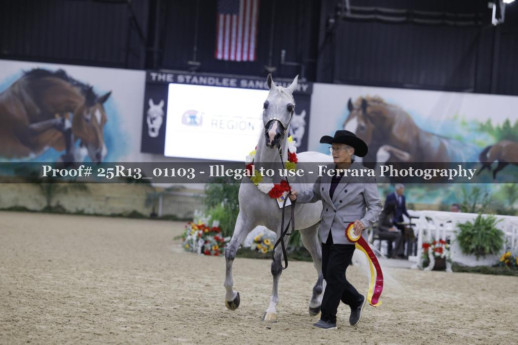 Proof 25R13_01103
