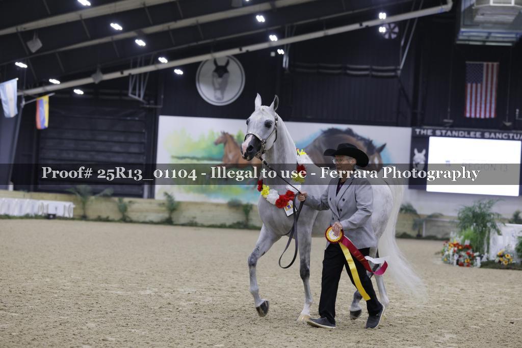 Proof 25R13_01104