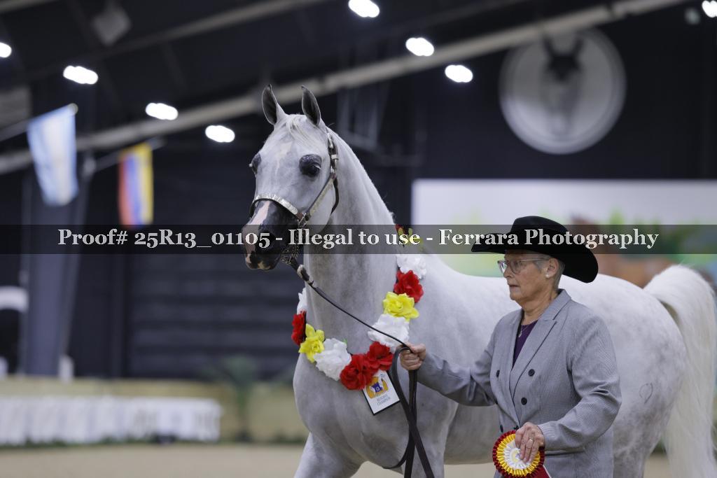 Proof 25R13_01105
