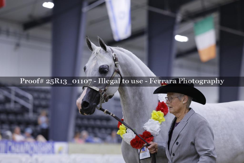 Proof 25R13_01107