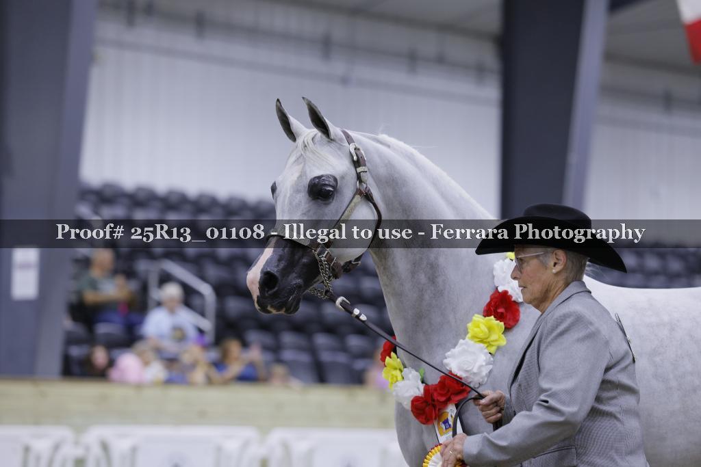 Proof 25R13_01108