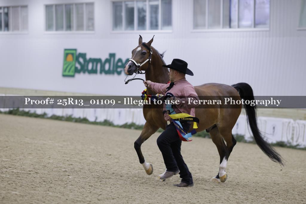 Proof 25R13_01109