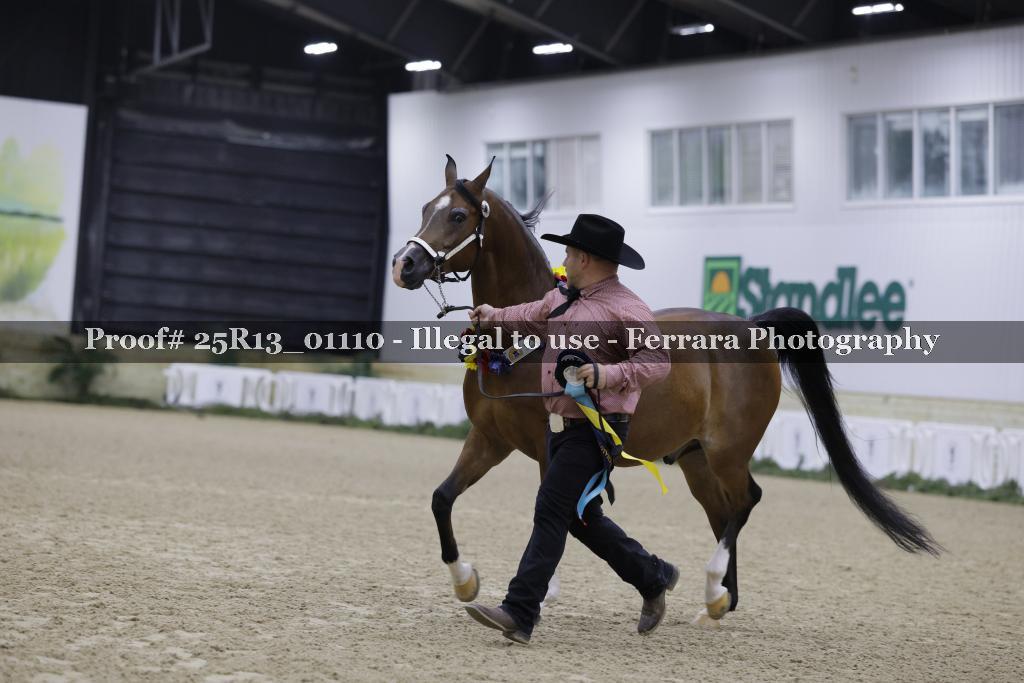 Proof 25R13_01110