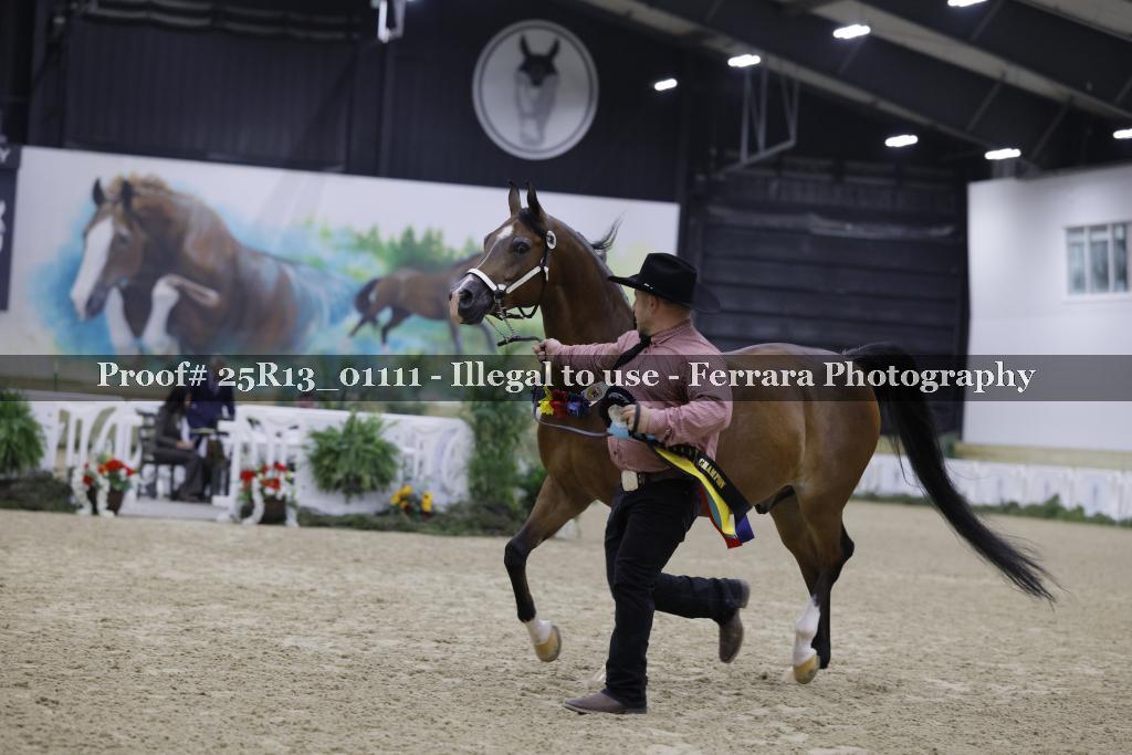 Proof 25R13_01111