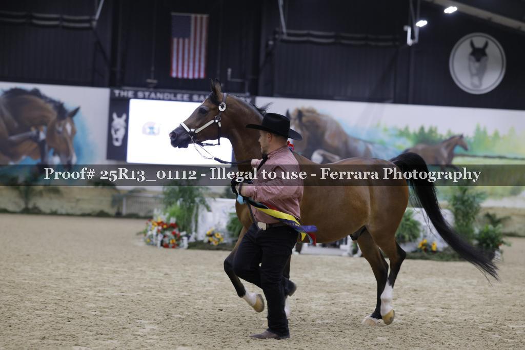 Proof 25R13_01112