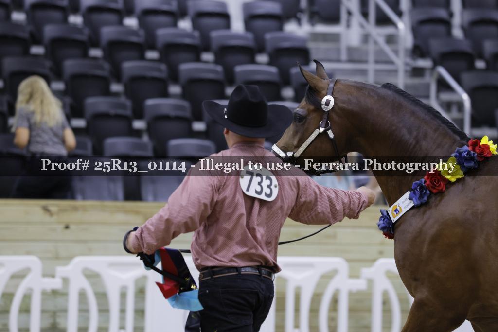 Proof 25R13_01114