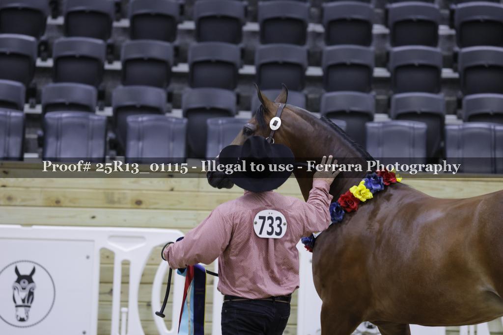 Proof 25R13_01115
