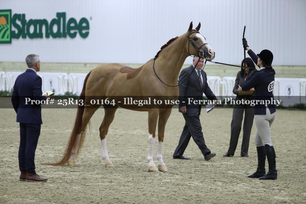Proof 25R13_01164