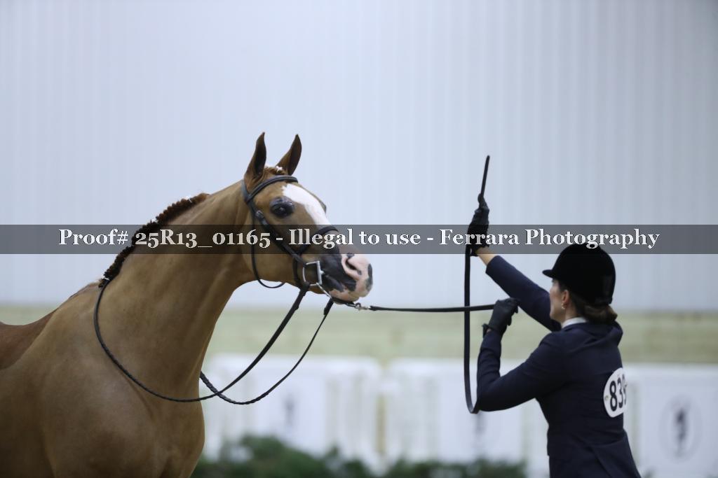 Proof 25R13_01165