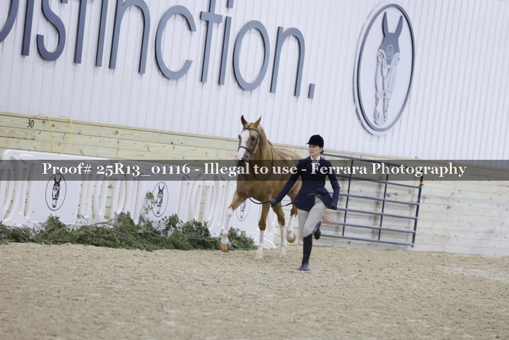 Proof 25R13_01116