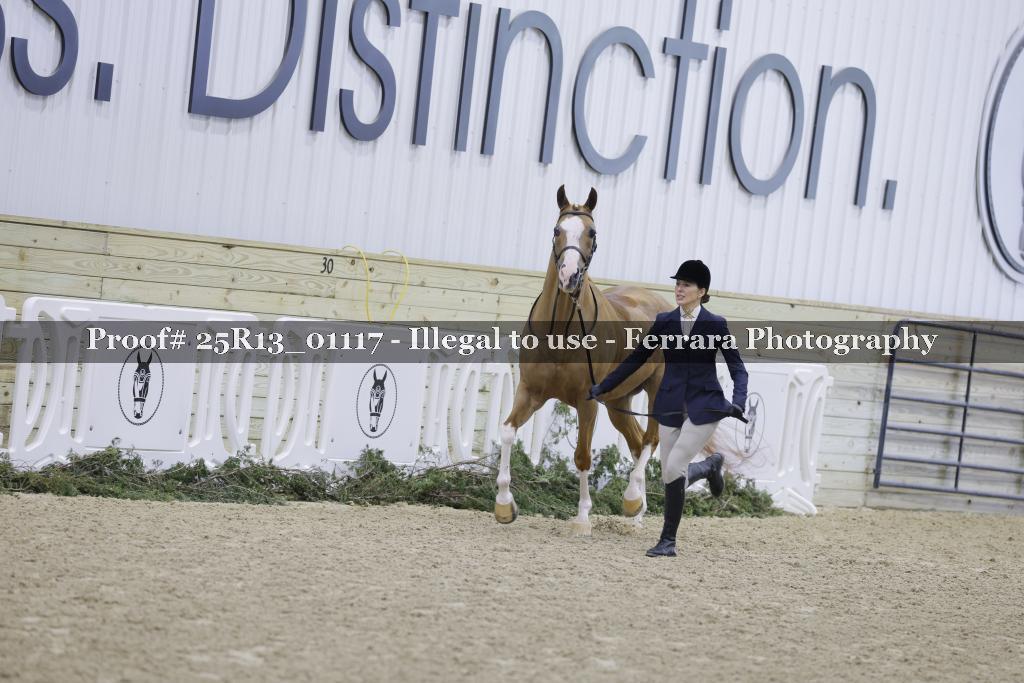 Proof 25R13_01117