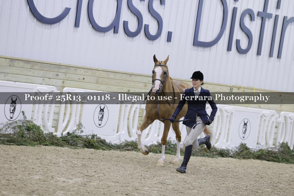 Proof 25R13_01118