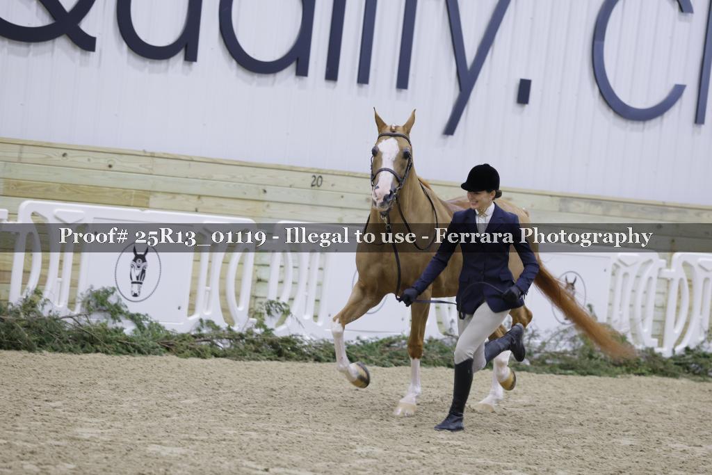 Proof 25R13_01119