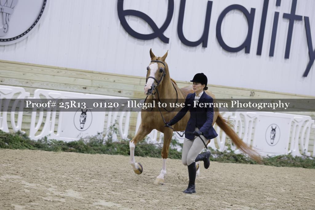 Proof 25R13_01120