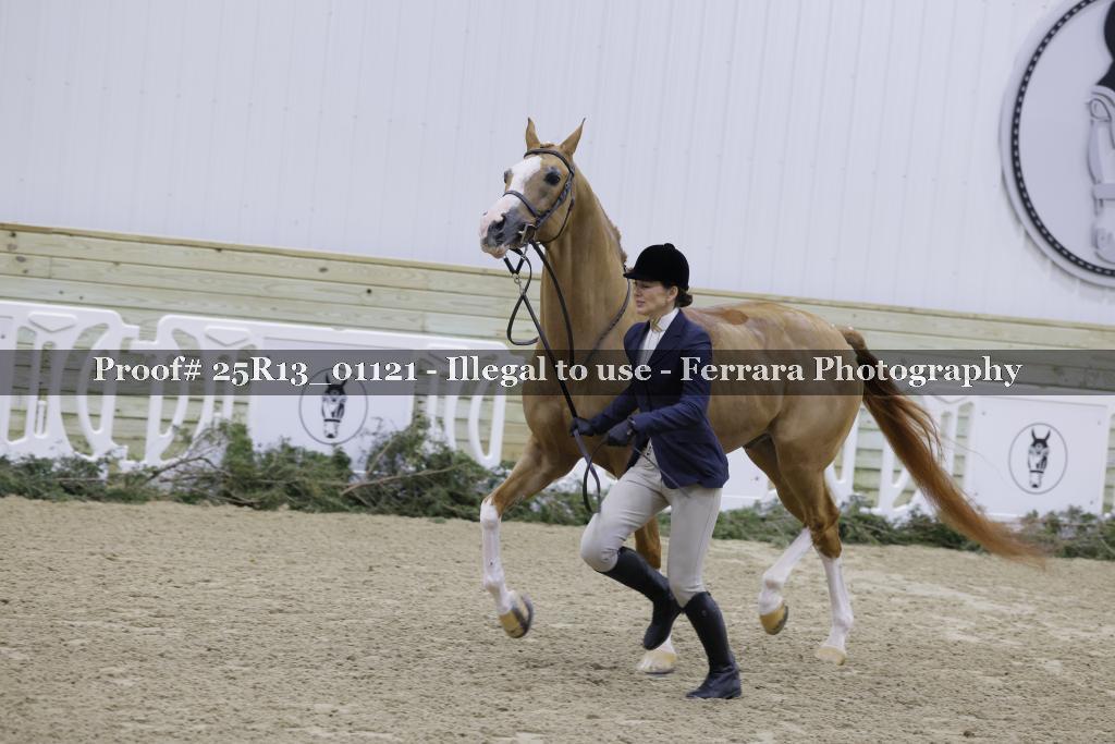 Proof 25R13_01121