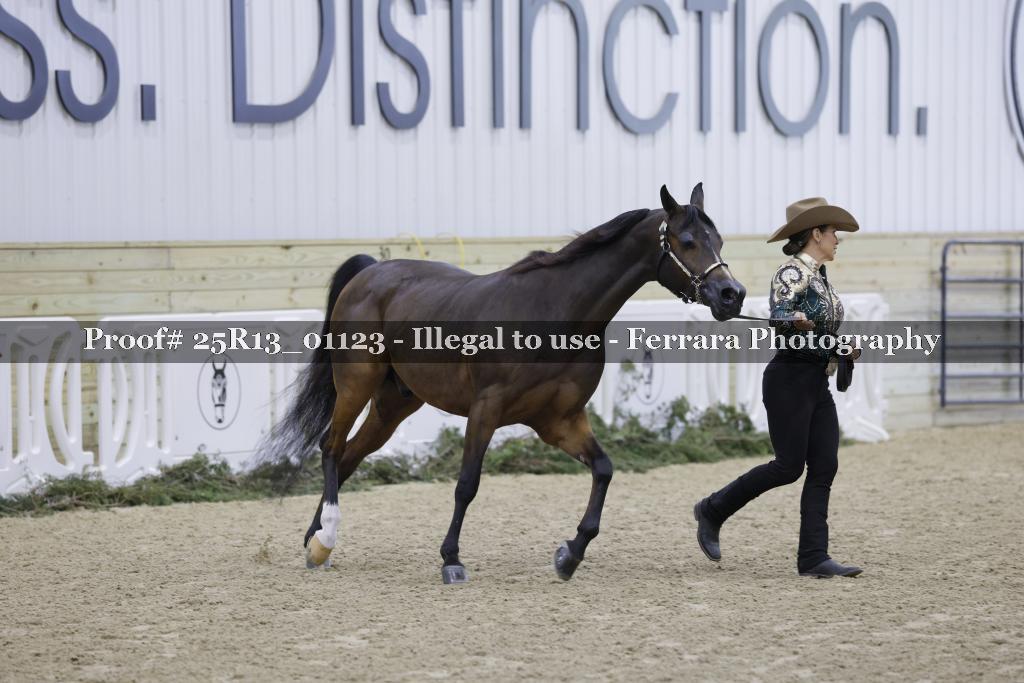 Proof 25R13_01123