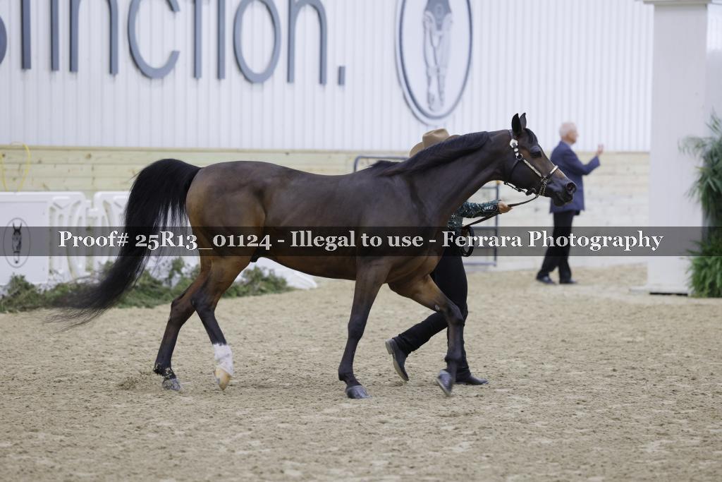 Proof 25R13_01124