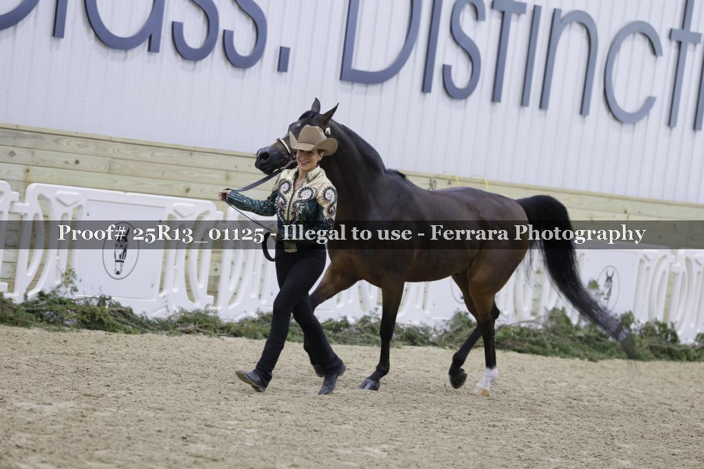 Proof 25R13_01125