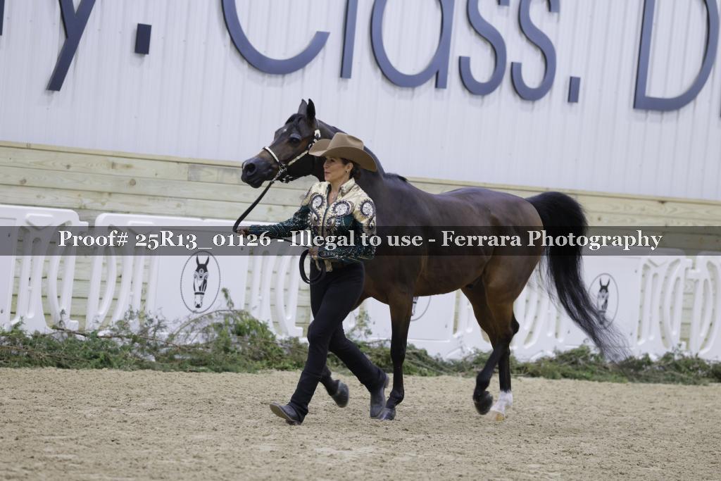 Proof 25R13_01126