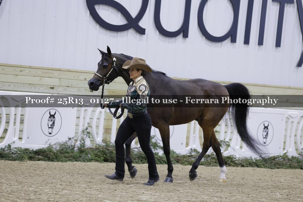 Proof 25R13_01127