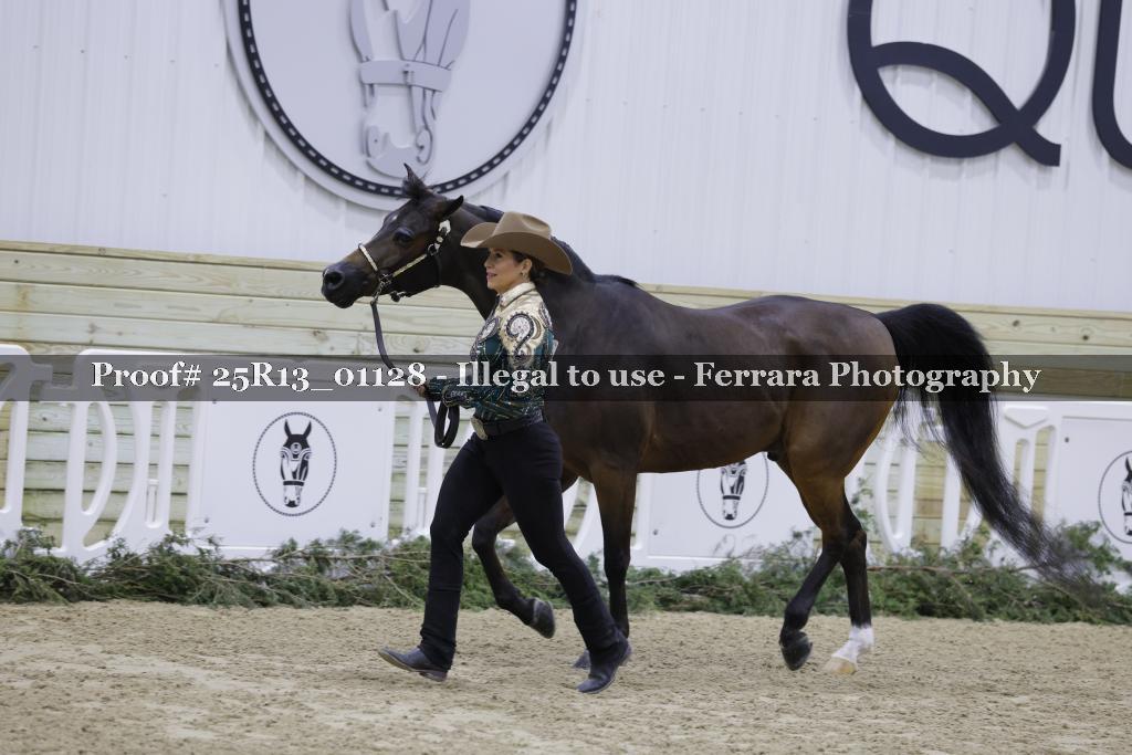 Proof 25R13_01128