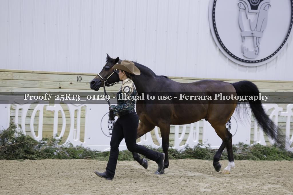Proof 25R13_01129