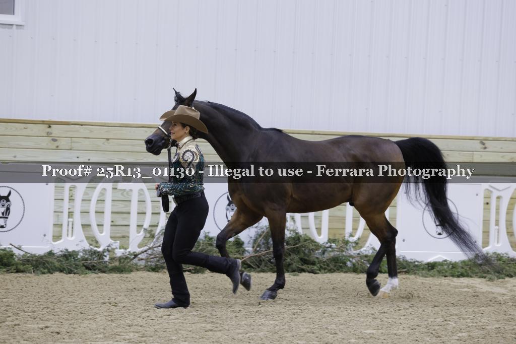 Proof 25R13_01130