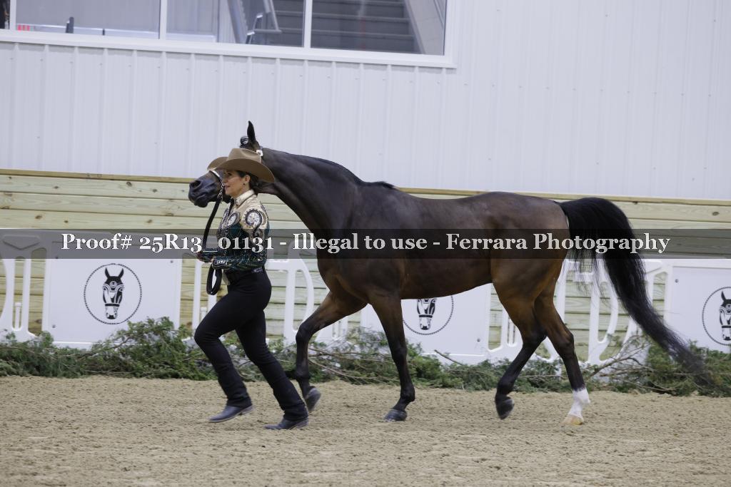 Proof 25R13_01131