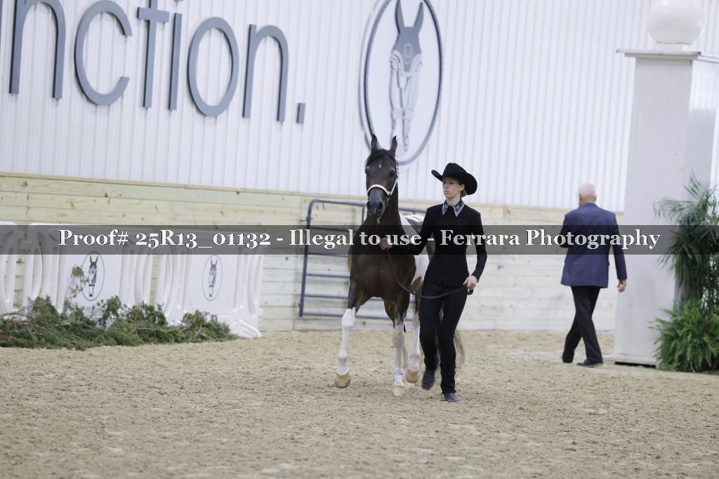 Proof 25R13_01132