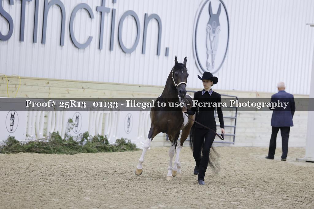 Proof 25R13_01133