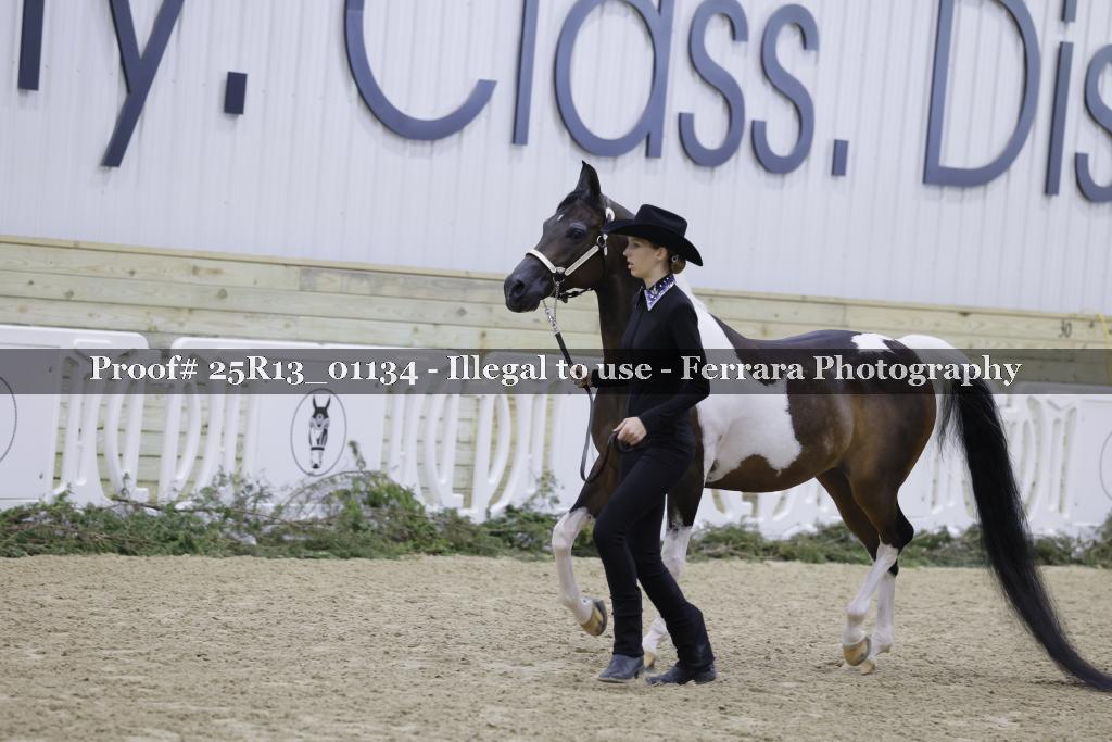 Proof 25R13_01134