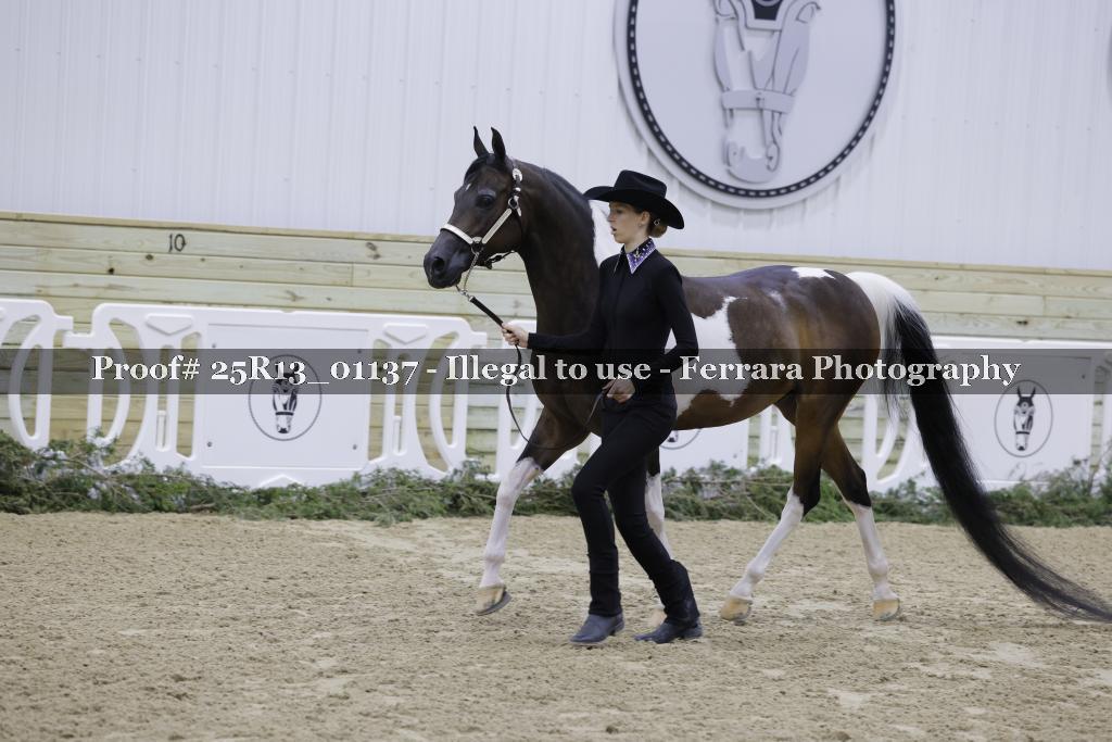 Proof 25R13_01137