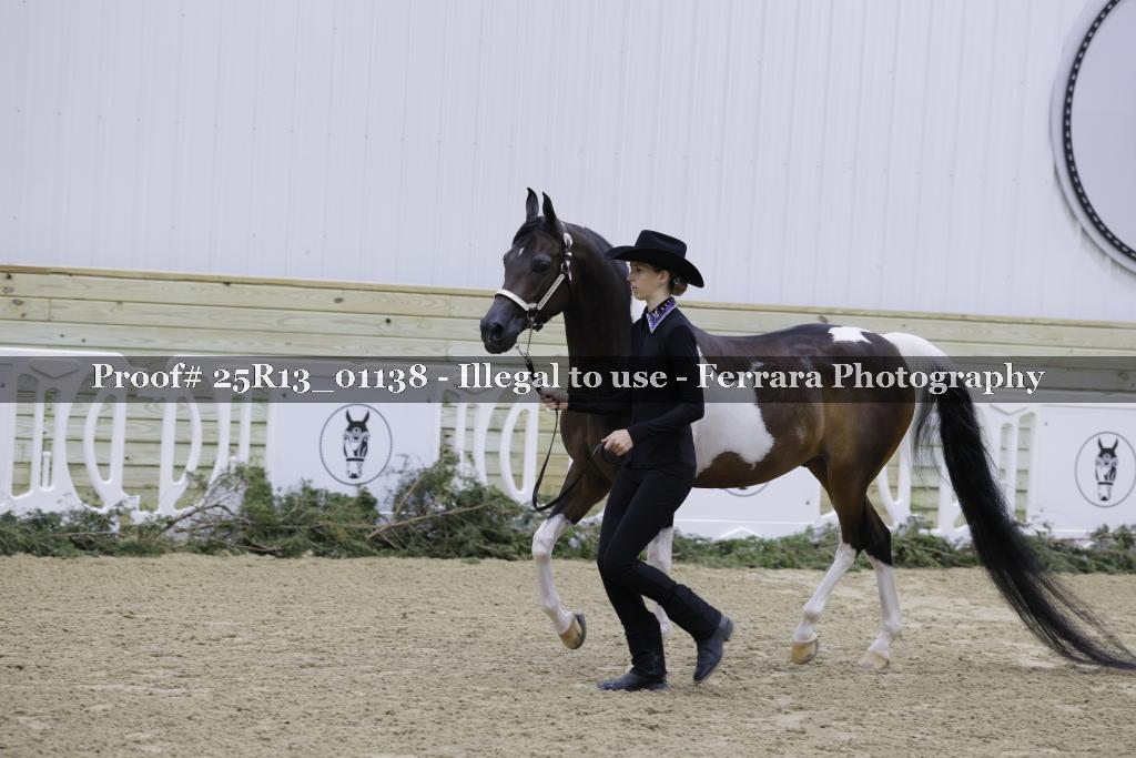 Proof 25R13_01138