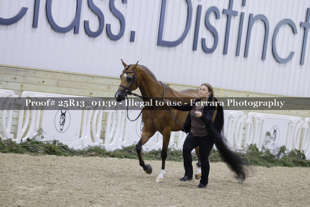 Proof 25R13_01139