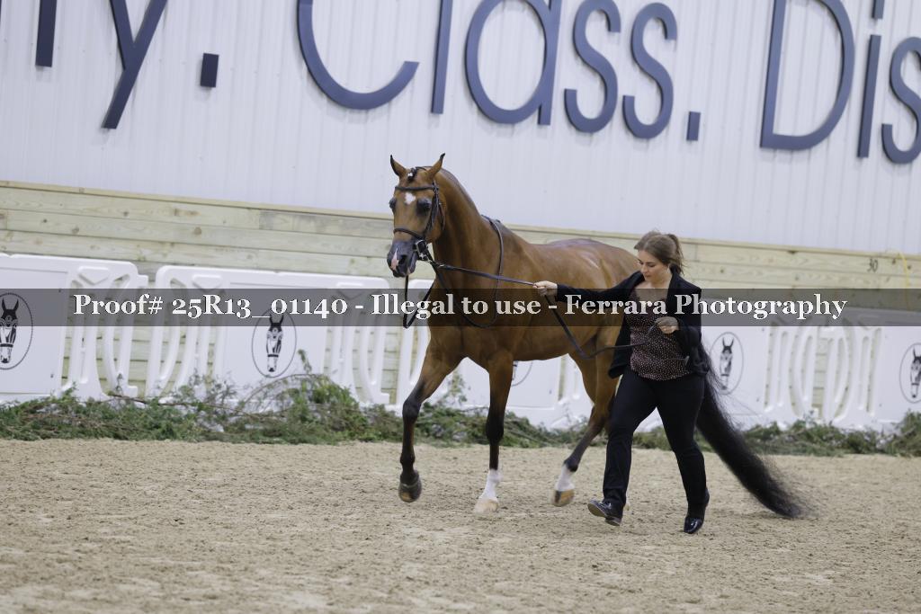 Proof 25R13_01140