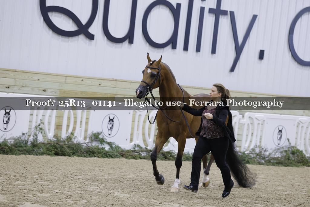 Proof 25R13_01141