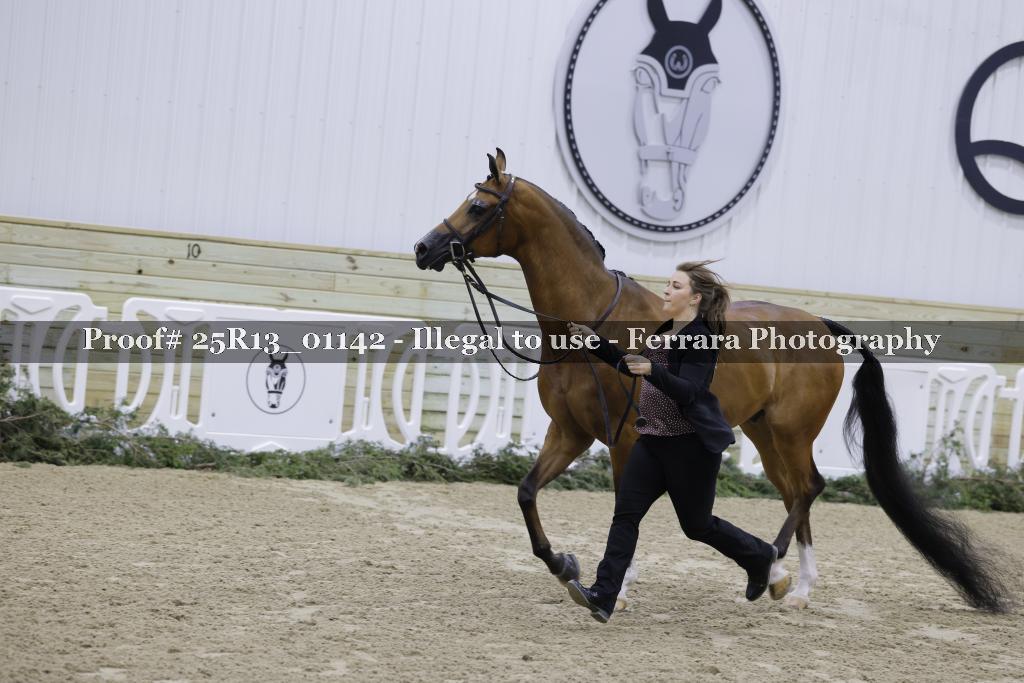Proof 25R13_01142