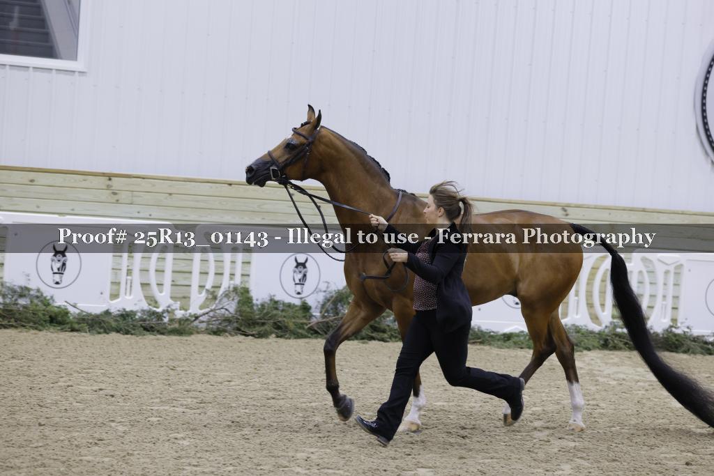 Proof 25R13_01143