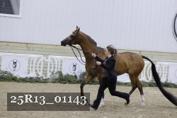 25R13_01143 proof