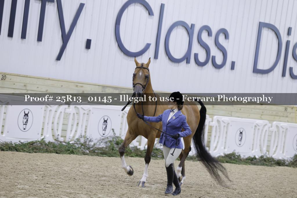 Proof 25R13_01145