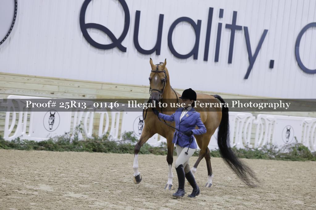 Proof 25R13_01146