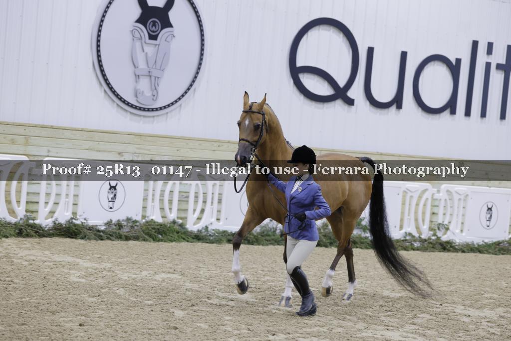 Proof 25R13_01147