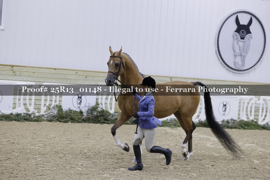 Proof 25R13_01148