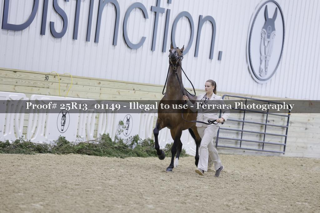 Proof 25R13_01149
