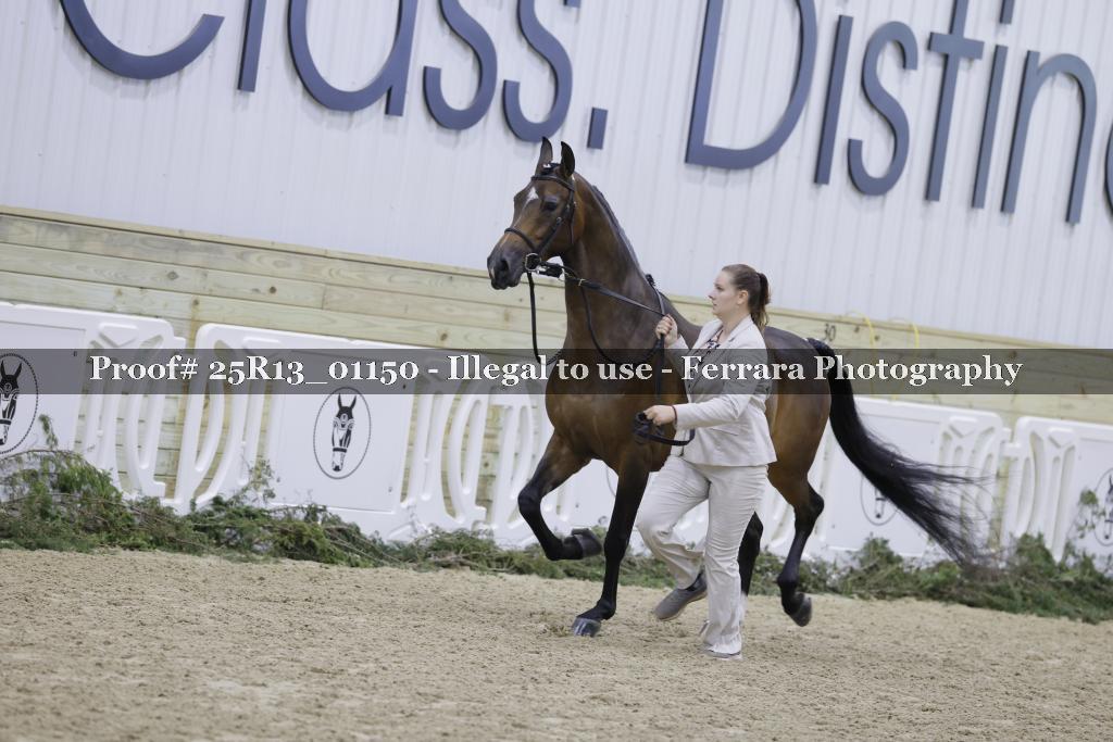 Proof 25R13_01150