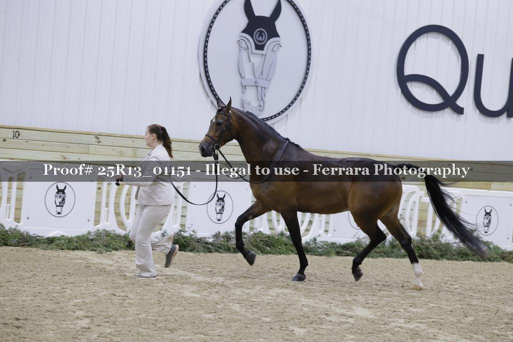 Proof 25R13_01151