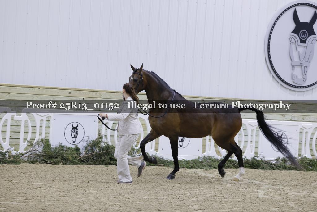 Proof 25R13_01152
